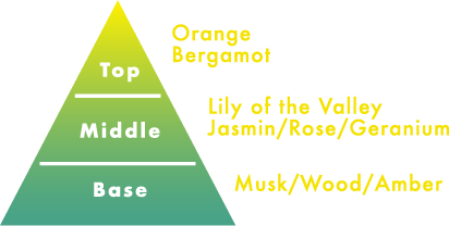 Top Middle Base Orange Bergamot Lily of the ValleyJasmin/Rose/Geranium Musk/Wood/Amber