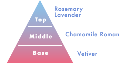 Top Middle Base Rosemary Lavender Chamomile Roman Vetiver